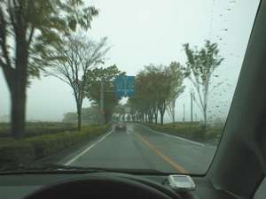霧雨けむる熊本空港バイパス